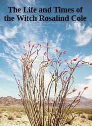 The Life and Times of the Witch Rosalind Cole